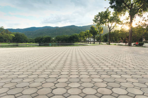 Reasons to Select Us for Your Driveway Paving Requirements in Donaldsonville, LA